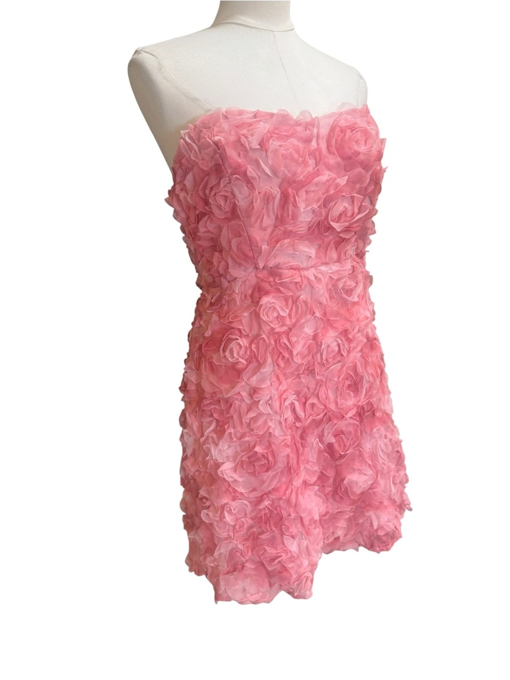 Selfie Leslie In Paris Pink 3D Rosette Strapless Mini Dress US XL AU 14 NWT - Picture 10 of 10